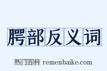 腭部反义词是什么意思的图片